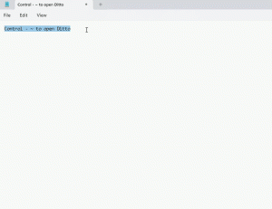 Ditto Freeware Review