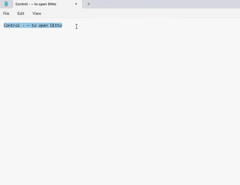 Ditto Freeware Review